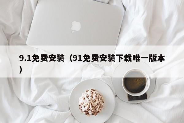 9.1免费安装（91免费安装下载唯一版本）