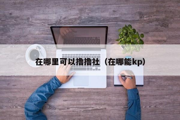 在哪里可以撸撸社（在哪能kp）