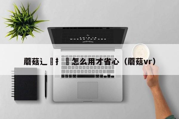 蘑菇辶喿扌畐怎么用才省心（蘑菇vr）
