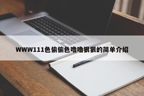 WWW111色偷偷色噜噜狠狠的简单介绍