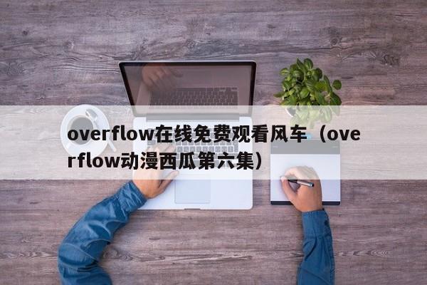overflow在线免费观看风车（overflow动漫西瓜第六集）