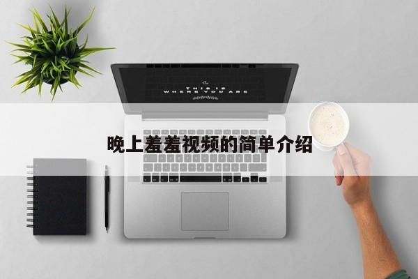 晚上羞羞视频的简单介绍
