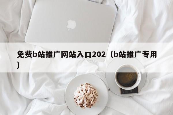 免费b站推广网站入口202（b站推广专用）