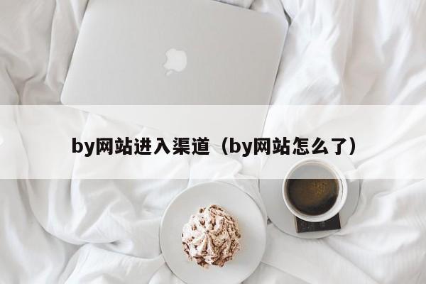 by网站进入渠道（by网站怎么了）