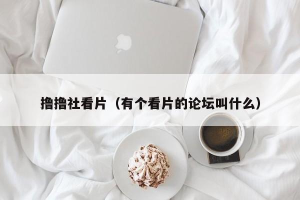 撸撸社看片（有个看片的论坛叫什么）