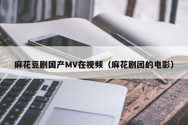 麻花豆剧国产MV在视频（麻花剧团的电影）