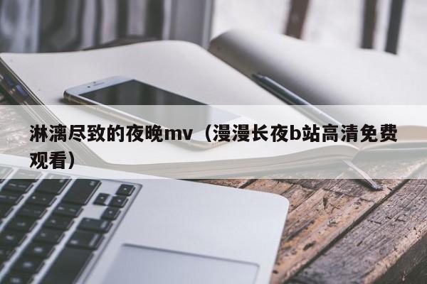 淋漓尽致的夜晚mv（漫漫长夜b站高清免费观看）