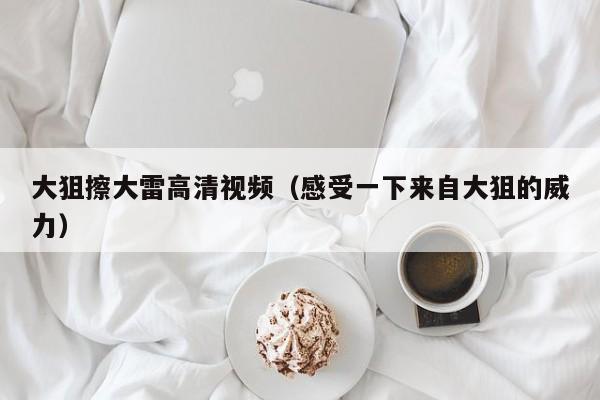 大狙擦大雷高清视频（感受一下来自大狙的威力）
