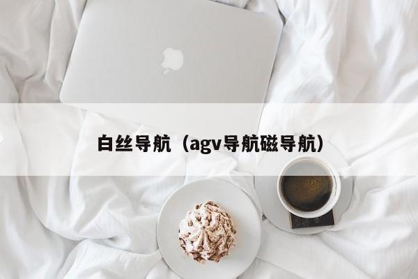 白丝导航（agv导航磁导航）