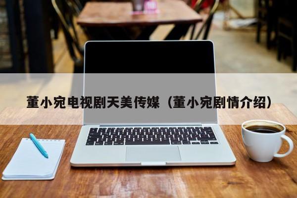 董小宛电视剧天美传媒(董小宛剧情介绍)