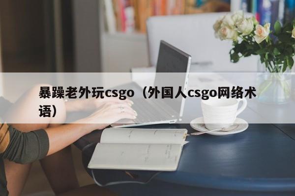 暴躁老外玩csgo(外国人csgo网络术语)