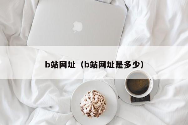 b站网址(b站网址是多少)