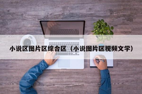 小说区图片区综合区(小说图片区视频文学)