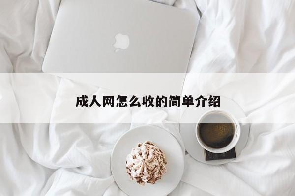 成人网怎么收的简单介绍