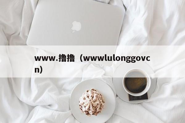 www.撸撸(wwwlulonggovcn)