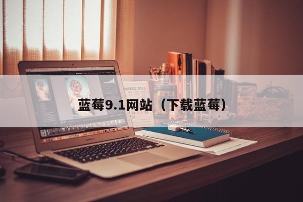 蓝莓9.1网站(下载蓝莓)