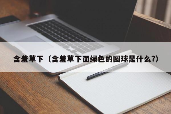 含羞草下（含羞草下面绿色的圆球是什么?）