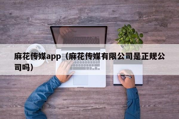 麻花传媒app（麻花传媒有限公司是正规公司吗）