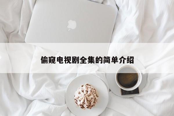 偷窥电视剧全集的简单介绍