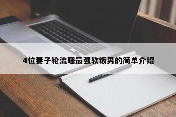 4位妻子轮流睡最强软饭男的简单介绍