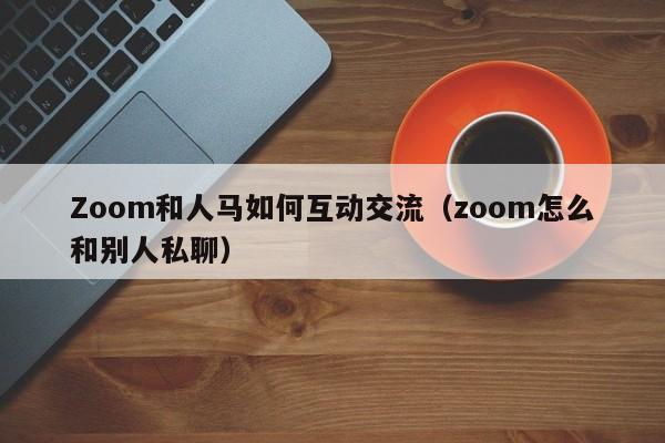 Zoom和人马如何互动交流(zoom怎么和别人私聊)