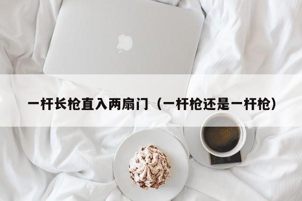 一杆长枪直入两扇门(一杆枪还是一杆枪)