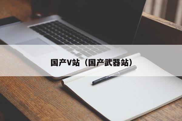 国产V站(国产武器站)