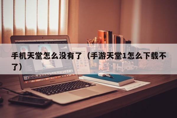 手机天堂怎么没有了（手游天堂1怎么下载不了）