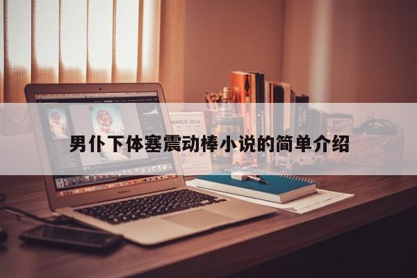 男仆下体塞震动棒小说的简单介绍