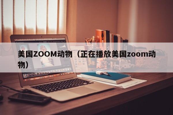 美国ZOOM动物（正在播放美国zoom动物）