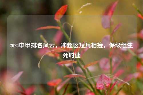 2024中甲排名风云,冲超区短兵相接,保级组生死时速