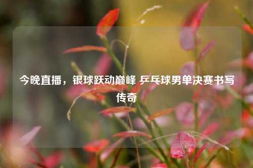 今晚直播,银球跃动巅峰 乒乓球男单决赛书写传奇