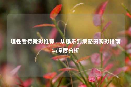理性看待竞彩推荐,从娱乐到策略的购彩指南与深度分析
