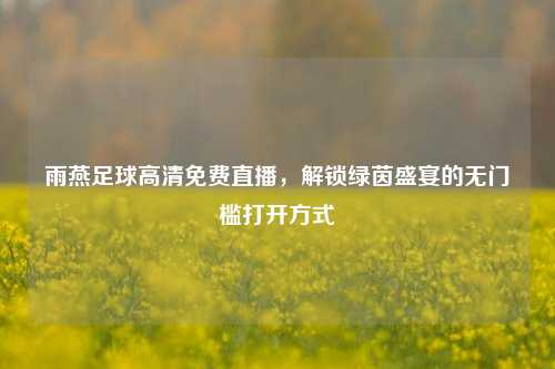雨燕足球高清免费直播,解锁绿茵盛宴的无门槛打开方式