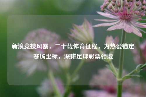 新浪竞技风暴,二十载体育征程,为热爱锚定赛场坐标,深耕足球彩票领域