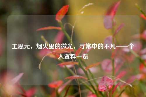 王思元,烟火里的微光,寻常中的不凡——个人资料一览