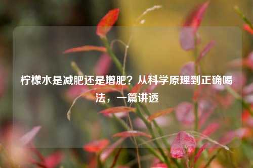柠檬水是减肥还是增肥?从科学原理到正确喝法,一篇讲透