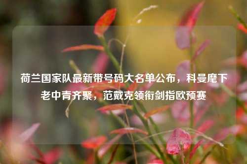 荷兰国家队最新带号码大名单公布,科曼麾下老中青齐聚,范戴克领衔剑指欧预赛