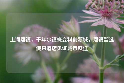上海唐镇,千年水镇蝶变科创新城,唐镇智选假日酒店见证城市跃迁