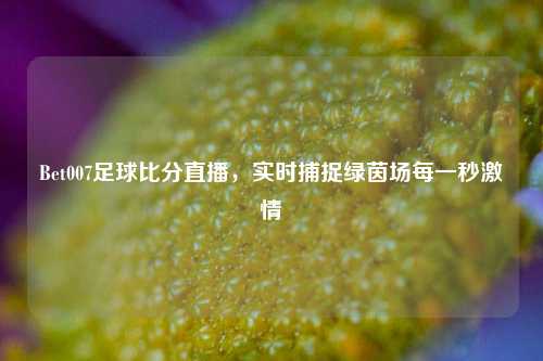 Bet007足球比分直播,实时捕捉绿茵场每一秒激情