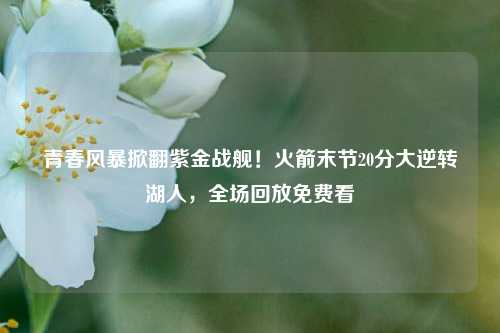青春风暴掀翻紫金战舰!火箭末节20分大逆转湖人,全场回放免费看