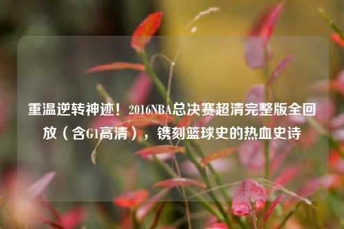 重温逆转神迹!2016NBA总决赛超清完整版全回放(含G1高清),镌刻篮球史的热血史诗