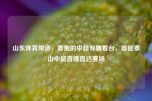 山东体育频道,鲁蜜的中超专属看台,鲁能泰山中超直播直达赛场