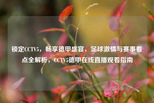 锁定CCTV5,畅享德甲盛宴,足球激情与赛事看点全解析,CCTV5德甲在线直播观看指南