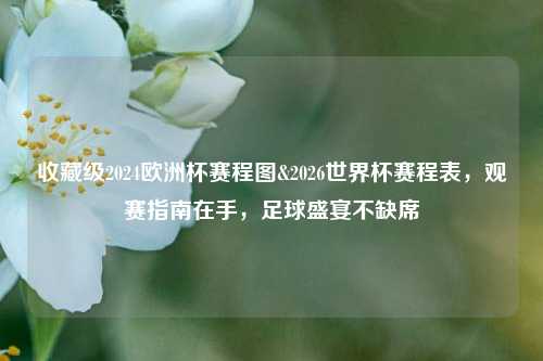 收藏级2024欧洲杯赛程图&2026世界杯赛程表,观赛指南在手,足球盛宴不缺席