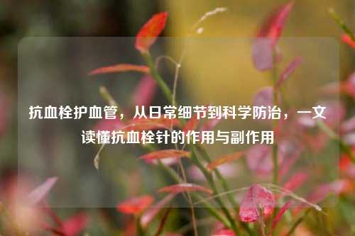 抗血栓护血管,从日常细节到科学防治,一文读懂抗血栓针的作用与副作用
