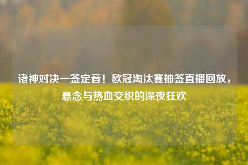 诸神对决一签定音!欧冠淘汰赛抽签直播回放,悬念与热血交织的深夜狂欢