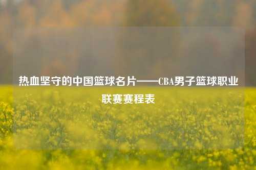 热血坚守的中国篮球名片——CBA男子篮球职业联赛赛程表