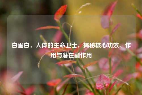 白蛋白,人体的生命卫士,揭秘核心功效、作用与潜在副作用