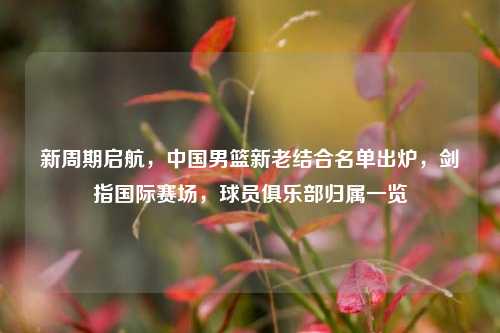 新周期启航,中国男篮新老结合名单出炉,剑指国际赛场,球员俱乐部归属一览